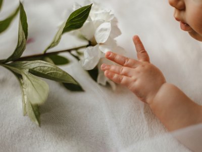 DUYU BÜTÜNLEME ve DOKUNMA