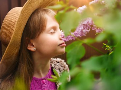 DUYU BÜTÜNLEME ve KOKU ALMA