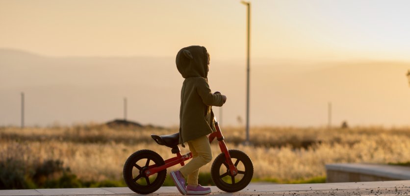 DUYU BÜTÜNLEME ve VESTİBÜLER DUYU