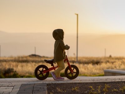 DUYU BÜTÜNLEME ve VESTİBÜLER DUYU