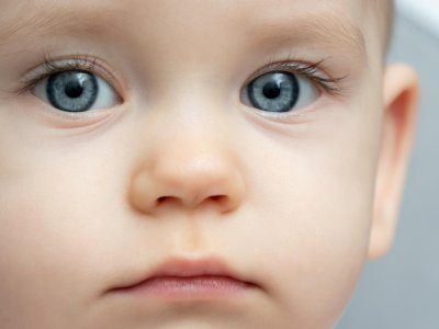 DUYU BÜTÜNLEME ve GÖRME